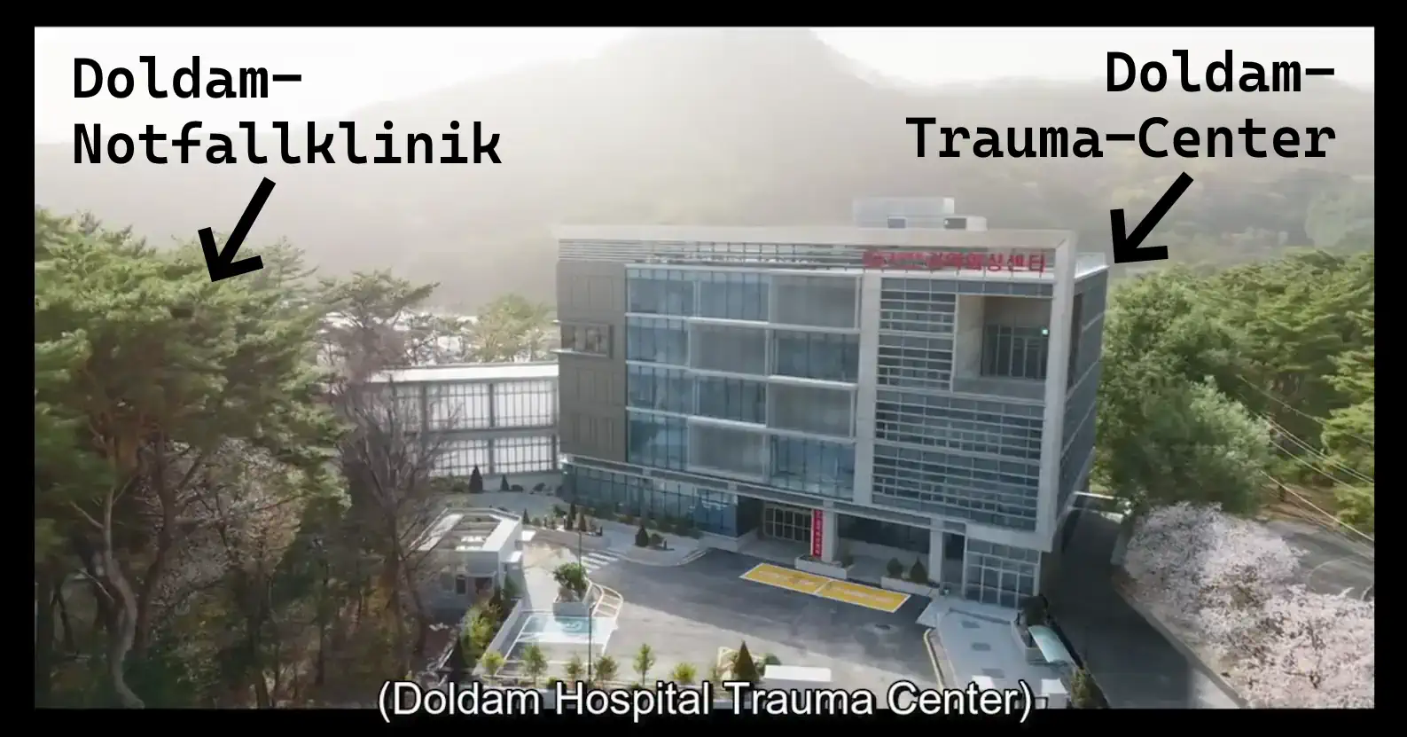 Doldam und Trauma-Center 4